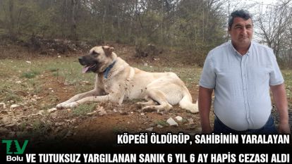 Köpeği öldürüp, sahibinin yaralayan ve tutuksuz yargılanan sanık 6 yıl 6 ay hapis cezası aldı