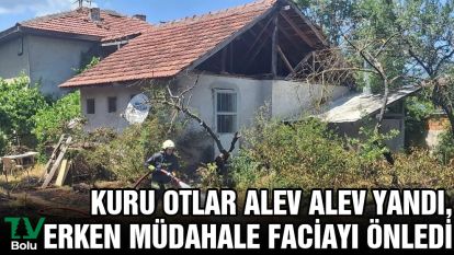 Kuru otlar alev alev yandı, erken müdahale faciayı önledi