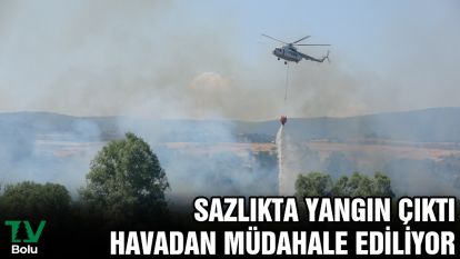 Sazlıkta yangın çıktı havadan müdahale ediliyor