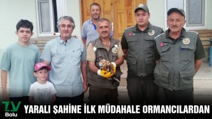 Yaralı şahine ilk müdahale ormancılardan