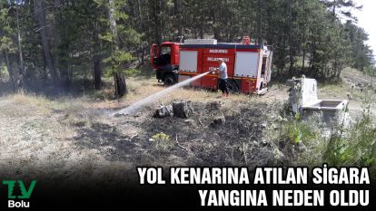 Yol kenarına atılan sigara yangına neden oldu