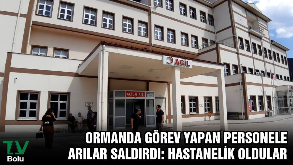 Ormanda görev yapan personele arılar saldırdı: Hastanelik oldular