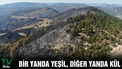 Bir yanda yeşil, diğer yanda kül