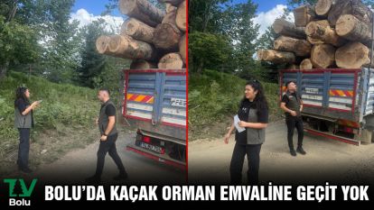 Bolu'da kaçak orman emvaline geçit yok