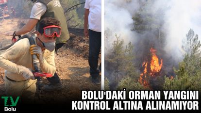 Bolu'daki orman yangını kontrol altına alınamıyor