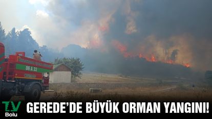 Gerede'de Büyük Orman Yangını!
