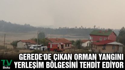 Gerede'de çıkan orman yangını yerleşim bölgesini tehdit ediyor
