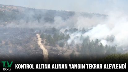 Kontrol altına alınan yangın tekrar alevlendi