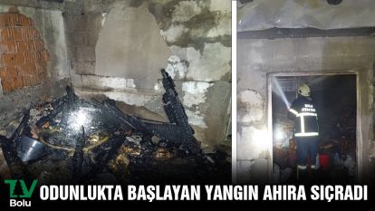 Odunlukta başlayan yangın ahıra sıçradı