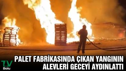 Palet fabrikasında çıkan yangının alevleri geceyi aydınlattı