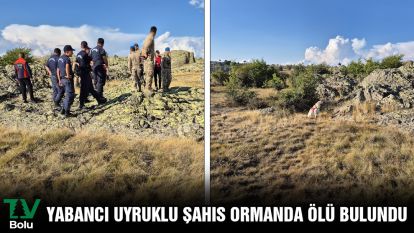 Yabancı uyruklu şahıs ormanda ölü bulundu