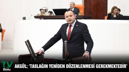AKGÜL; ‘TASLAĞIN YENİDEN DÜZENLENMESİ GEREKMEKTEDİR'