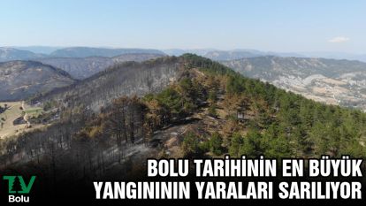 Bolu tarihinin en büyük yangınının yaraları sarılıyor