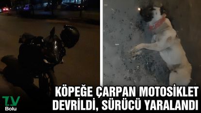 Köpeğe çarpan motosiklet devrildi, sürücü yaralandı