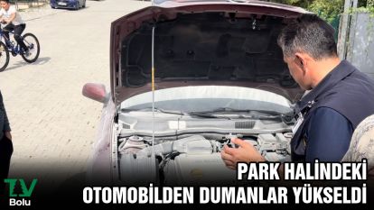 Park halindeki otomobilden dumanlar yükseldi