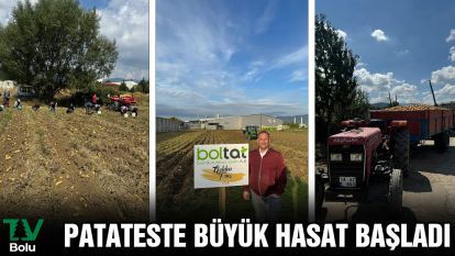 PATATESTE BÜYÜK HASAT BAŞLADI