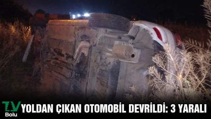 Yoldan çıkan otomobil devrildi: 3 yaralı