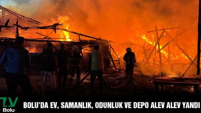 Bolu'da ev, samanlık, odunluk ve depo alev alev yandı