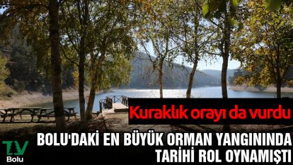 Bolu'daki en büyük orman yangınında tarihi rol oynamıştı: Kuraklık orayı da vurdu