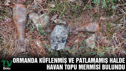 Ormanda küflenmiş ve patlamamış halde havan topu mermisi bulundu