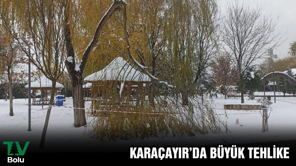 Kar ağaçları devirdi