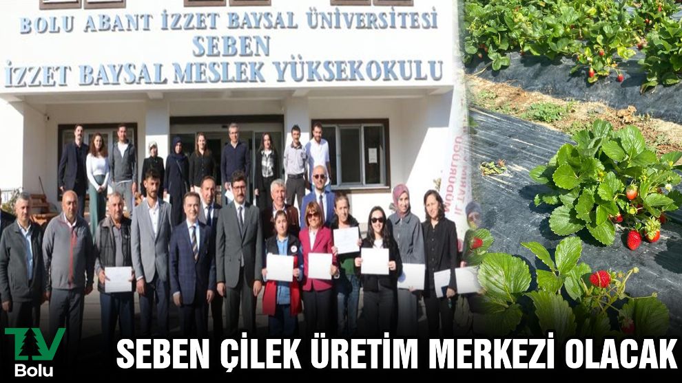 Seben çilek üretim merkezi olacak