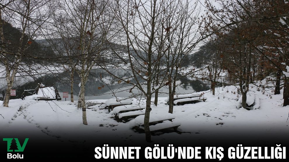 Sünnet Gölü'nde kış güzelliği