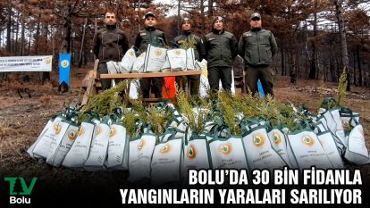 Bolu'da 30 bin fidanla yangınların yaraları sarılıyor