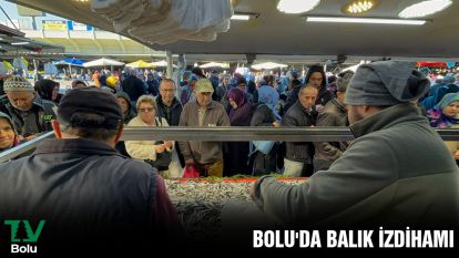 Bolu'da balık izdihamı