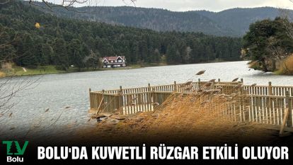 Bolu'da kuvvetli rüzgar etkili oluyor