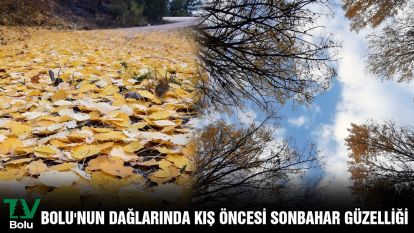 Bolu'nun dağlarında kış öncesi sonbahar güzelliği