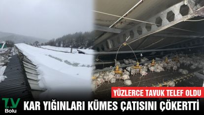 Kar yığınları kümes çatısını çökertti: Yüzlerce tavuk telef oldu