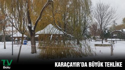 Kar ağaçları devirdi
