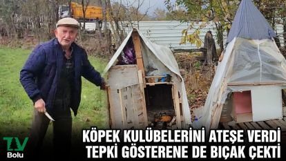 Köpek kulübelerini ateş verdi, tepki gösterene de bıçak çekti