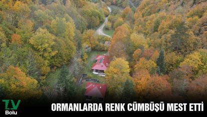 Ormanlarda renk cümbüşü mest etti