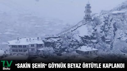 "Sakin şehir" Göynük beyaz örtüyle kaplandı