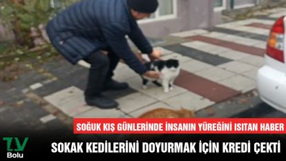 Soğuk kış günlerinde insanın yüreğini ısıtan haber...SOKAK KEDİLERİNİ DOYURMAK İÇİN KREDİ ÇEKTİ