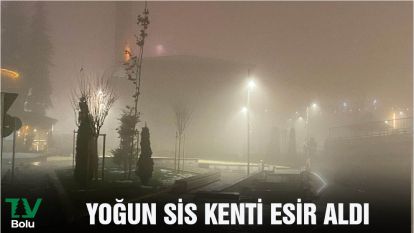 YOĞUN SİS KENTİ ESİR ALDI