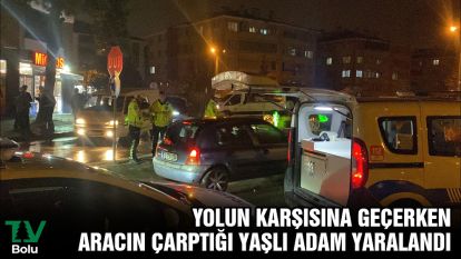 Yolun karşısına geçerken aracın çarptığı yaşlı adam yaralandı
