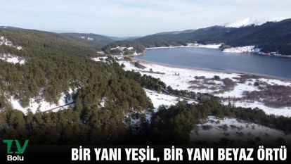 Bir yanı yeşil, bir yanı beyaz örtü