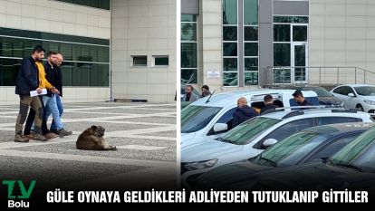Güle oynaya geldikleri adliyeden tutuklanıp gittiler