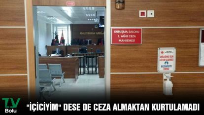 "İçiciyim" dese de ceza almaktan kurtulamadı