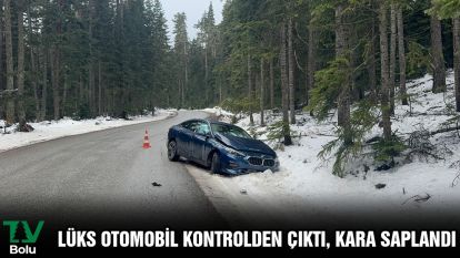 Lüks otomobil kontrolden çıktı, kara saplandı
