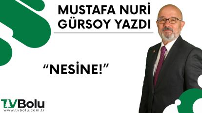 NESİNE!