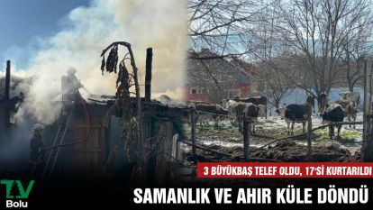 Samanlık ve ahır küle döndü: 3 büyükbaş telef oldu, 17'si kurtarıldı