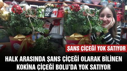 Şans çiçeği yok satıyor