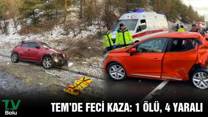 TEM'de feci kaza: 1 ölü, 4 yaralı