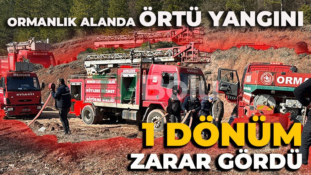 ORMANLIK ALANDA ÖRTÜ YANGINI: 1 DÖNÜM ZARAR GÖRDÜ