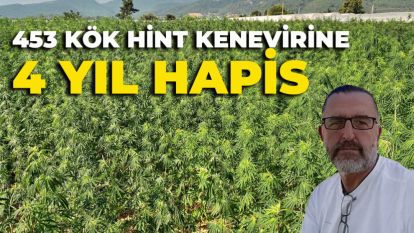 453 kök Hint kenevirine 4 yıl hapis