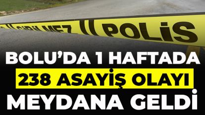 Bolu'da bir haftada 238 asayiş olayı meydana geldi